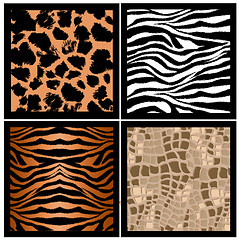 Image showing animal skin texture