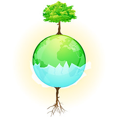 Image showing tree on globe