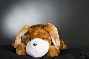 Image showing Plush Dog