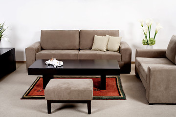 Image showing Modern living room with classic couch