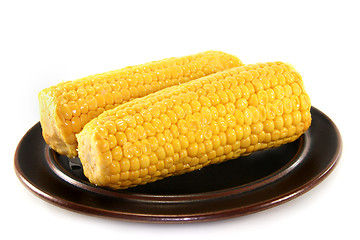 Image showing Corn