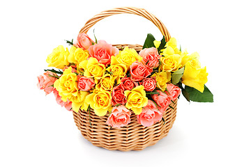 Image showing basket of roses