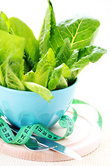 Image showing bowl of lettuce