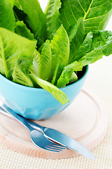 Image showing bowl of lettuce