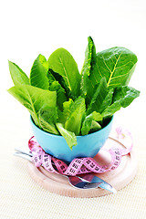 Image showing bowl of lettuce