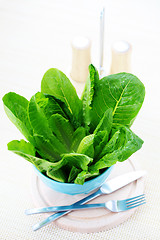 Image showing bowl of lettuce