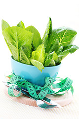 Image showing bowl of lettuce