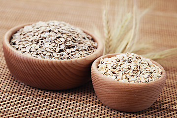 Image showing oats