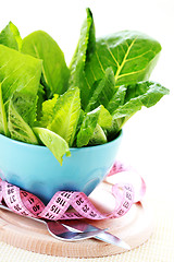 Image showing bowl of lettuce