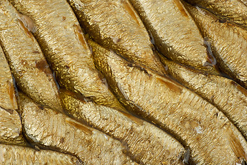 Image showing Abstract background: conserved sprat fish in oil