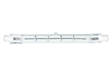 Image showing Dual R7S socle linear halogen lightbulb