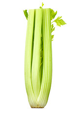 Image showing Bunch of celery sticks