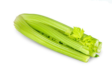 Image showing Bunch of celery sticks