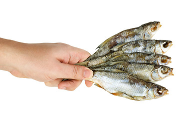 Image showing Hand hold few salted dried fishes