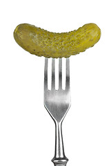 Image showing Marinated cornichon on the fork
