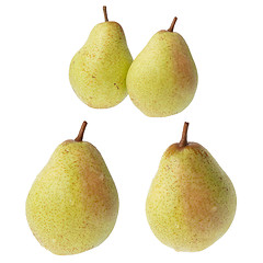 Image showing Pears