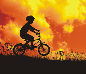 Image showing Small cyclist of nature in