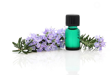 Image showing Rosemary Herb Essence