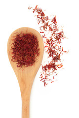 Image showing Saffron Spice