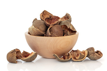 Image showing Areca Nut Peel