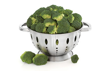 Image showing Broccoli