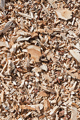 Image showing Wood chip background 