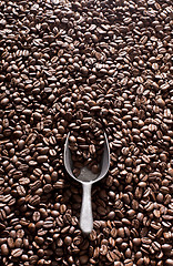 Image showing Coffee and scoop