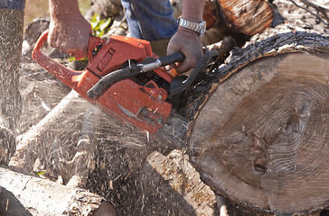 Image showing Man cutting wood with a chainsaw