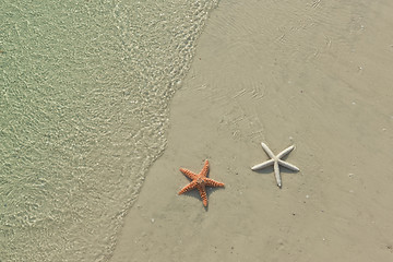 Image showing Couple of starfish on a tropical beach, tide coming in