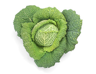 Image showing Cabbage