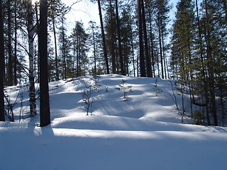 Image showing Karelian, March