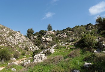 Image showing Rocky valley among green hills 