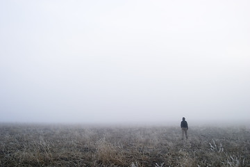 Image showing Fog Walk