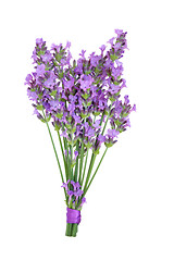 Image showing Lavender Herb Flower Posy