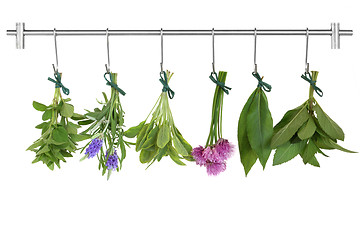 Image showing Drying Herb Bunches  