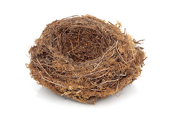 Image showing Bird Nest