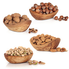 Image showing Nut Collection