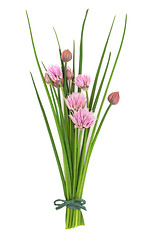 Image showing Chives Herb Flower Posy