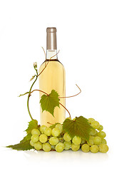 Image showing White Wine with Grape Vine