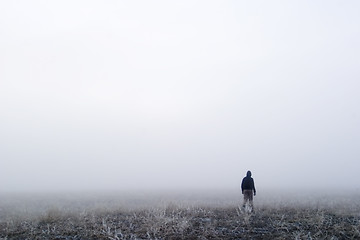 Image showing Fog Walk