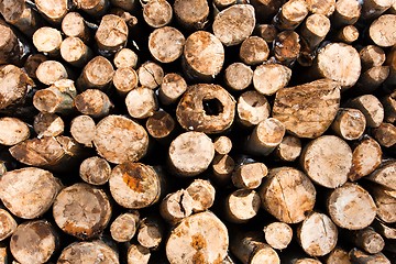 Image showing Texture of wooden logs piled up