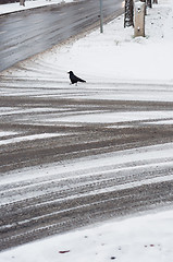 Image showing Tire track on the road covered by snow with crow at winter