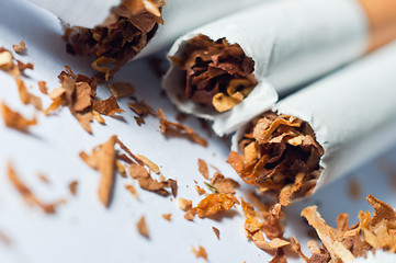 Image showing Broken cigarettes isolated on white background