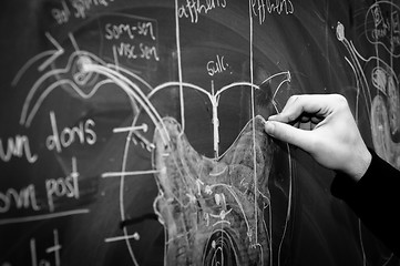 Image showing Young student showing spinal chord on green chalk board