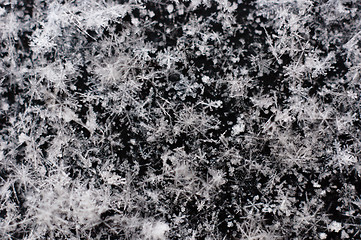 Image showing Ice cristals falling with black background macro shot