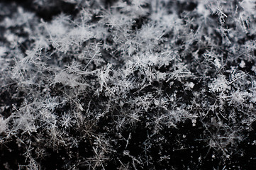 Image showing Ice cristals falling with black background macro shot