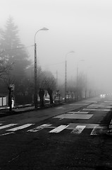 Image showing Dark road in fog focus on crosswalk with  cars in the background