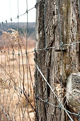 Image showing Wooden fence with metal plate against blurry background