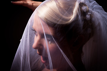 Image showing Surprised bride in veil