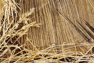 Image showing Detail of wooden cut texture and dry grass hay - frame
